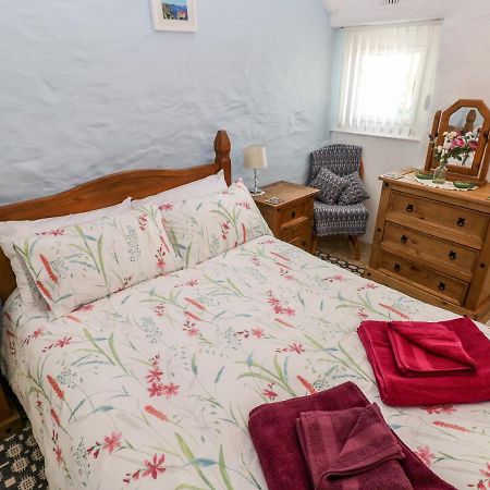 Ffynnon Tom Villa Trevine Buitenkant foto